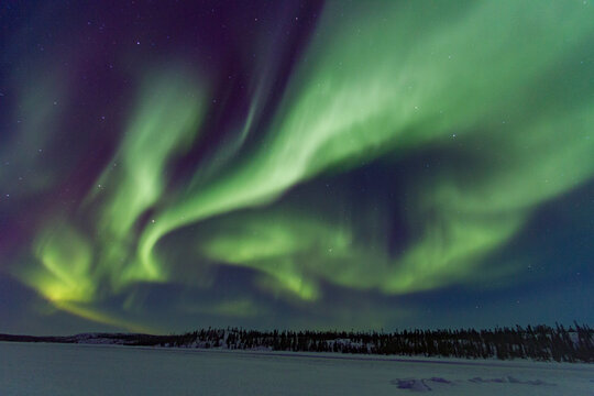 Aurora borealis lights up the sky above the boreal forest on a winter night in Canada