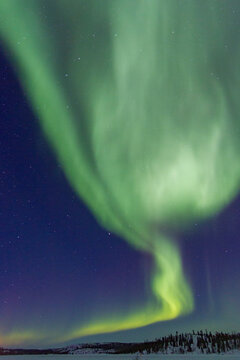 Aurora Borealis with bright lights over trees at Great Slave Lake in Northwest Territories