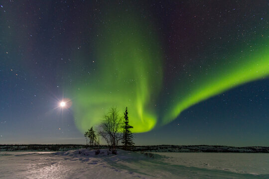 Northern lights display above boreal forest at Great Slave Lake in winter night sky in Northwest Territories, Canada