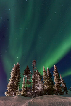 Aurora Borealis lights up the sky over the boreal forest at Great Slave Lake in Northwest Territories Canada