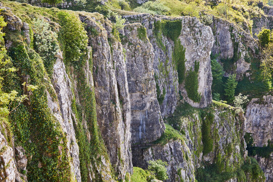 Limestone cliffs tower over lush greenery in Cheddar Gorge, inviting exploration and adventure in Somerset, Great Britain