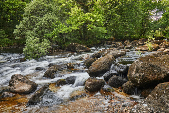 River Dart flows around boulders and through woodland in Dart Valley near Dartmeet in Devon, Great Britain