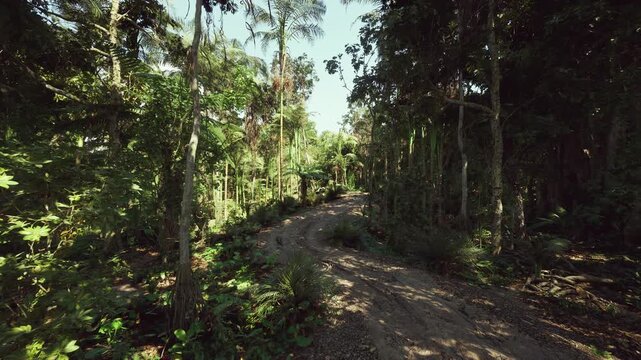 Steep wooded trail for runners, Rugged forest pathway perfect for outdoor fitness, Challenging uphill path through trees with roots and rocks for training
