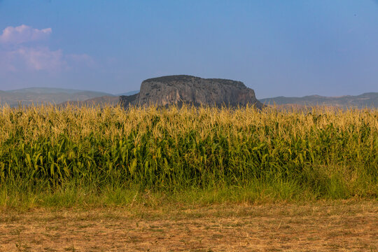 View of a cornfield with rock formation in the distance under a clear summer sky in Greece