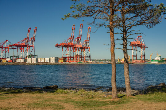 Shipping port activities near Point Pleasant Park in Halifax, Nova Scotia, showcasing cranes and containers by the water
