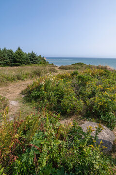 Exploring the coastal trails near the sea in Lawrencetown Provincial Park, Nova Scotia, Canada on a sunny day