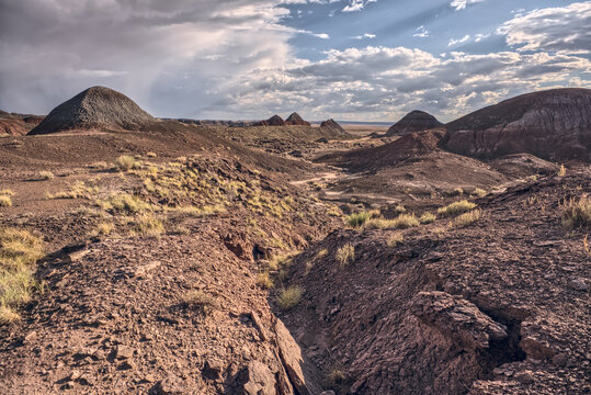 Northside view captures the Teepees rock formations at Petrified Forest National Park in Arizona under a cloudy sky