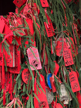 Red wood tablets with prayers hang from greenery in a location in Sichuan, China