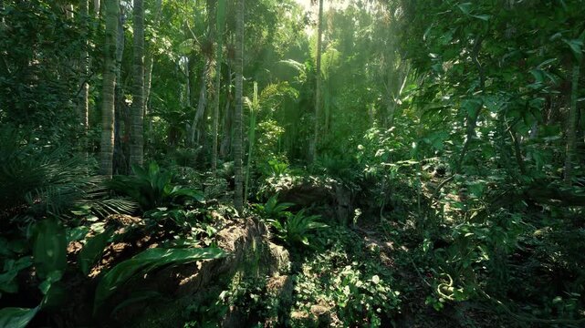 Rich plant growth supports ecosystem, Thick underbrush fosters diverse insect life, Dense foliage and moist ground enable complex ecological interactions