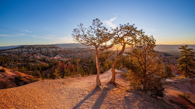 Sunrise view from Sunrise Point with trees and rocks at Bryce Canyon National Park in Utah during early morning hours