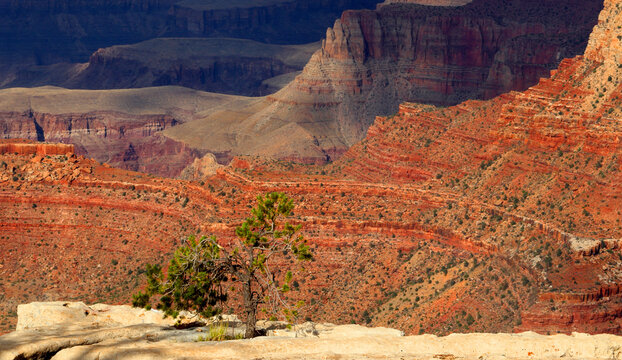 Views of the Grand Canyon from the South Rim showcase the park's unique rock formations and natural beauty in Arizona, USA