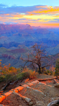 View of Grand Canyon with sunset colors from South Rim, capturing rock formations and tree branches