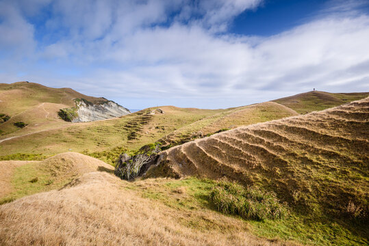 Rolling farmland and terraced hills above coastline at Cape Farewell in Puponga Farm Park