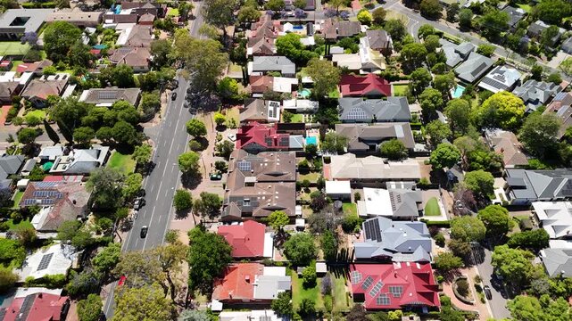 Burnside city, Adelaide, South Australia: 4K aerial drone footage of residential houses, estates, streets with blue jacaranda flowers, traffic in Hazelwood Park, Glenside, Leabrook