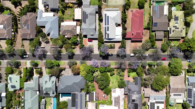 Burnside city, Adelaide, South Australia: 4K aerial drone footage of residential houses, estates, streets with blue jacaranda flowers, traffic in Hazelwood Park, Glenside, Leabrook