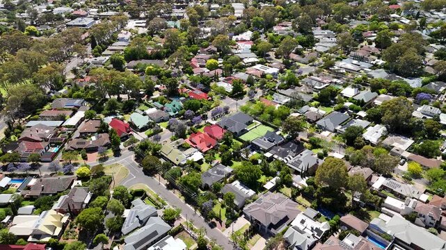Burnside city, Adelaide, South Australia: 4K aerial drone footage of residential houses, estates, streets with blue jacaranda flowers, traffic in Hazelwood Park, Glenside, Leabrook