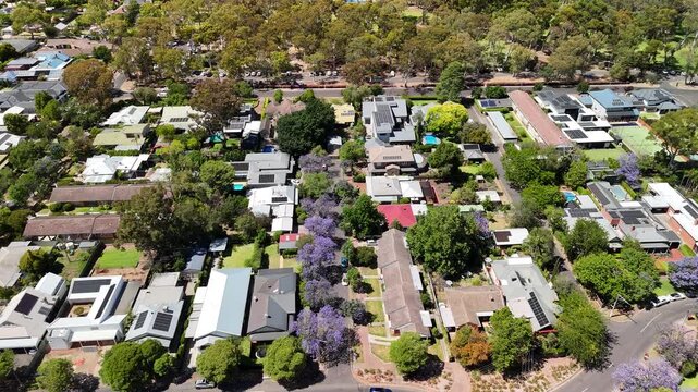 Burnside city, Adelaide, South Australia: 4K aerial drone footage of residential houses, estates, streets with blue jacaranda flowers, traffic in Hazelwood Park, Glenside, Leabrook