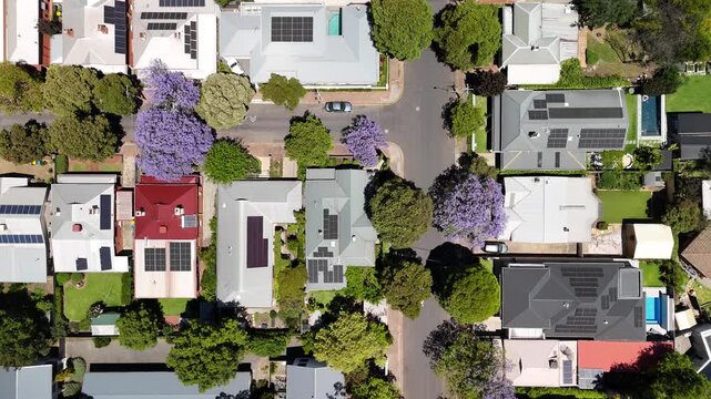 Adelaide, South Australia: 4K Aerial Drone Footage of Southern Suburbs, Residential Houses, Tree-Lined Streets, Jacaranda Bloom and Urban Landscape in Unley, Parkside, Malvern 