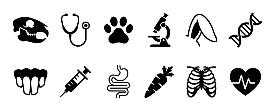Set of black veterinary icons including a skull, stethoscope, paw print, microscope, syringe, and heartbeat symbol for animal health and science concepts in a simple silhouette style