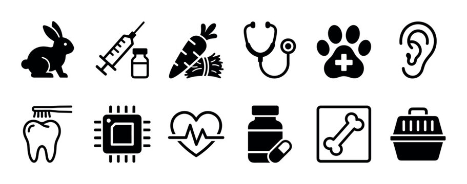 Set of black solid glyph icons for veterinary medicine and pet care services, including a rabbit, syringe, stethoscope, paw print, x-ray, microchip, and carrier
