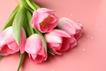 Fototapeta premium Bouquet of beautiful tulips on pink background with water drops, closeup