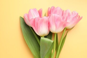 Fototapeta premium Beautiful pink tulips on pale yellow background, top view