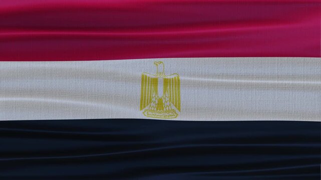 Egypt flag waving in the wind with high quality fabric texture