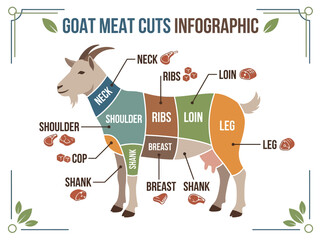 Fototapeta premium A Detailed Infographic Illustrating the Various Cuts of Goat Meat