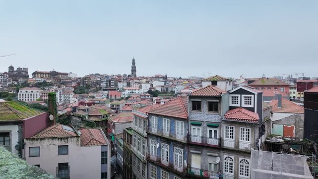 High angle view of Porto's historic center in Portugal, featuring traditional tiled houses with red roofs, a prominent bell tower in the background, and a seagull perching on a mossy wall