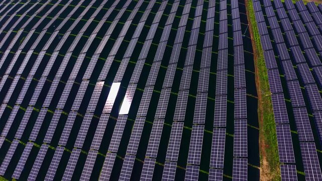 Rows of solar panels stretch endlessly over a sunny landscape, bright sunlight reflecting off the panels as they work to harness sustainable energy for a cleaner future.