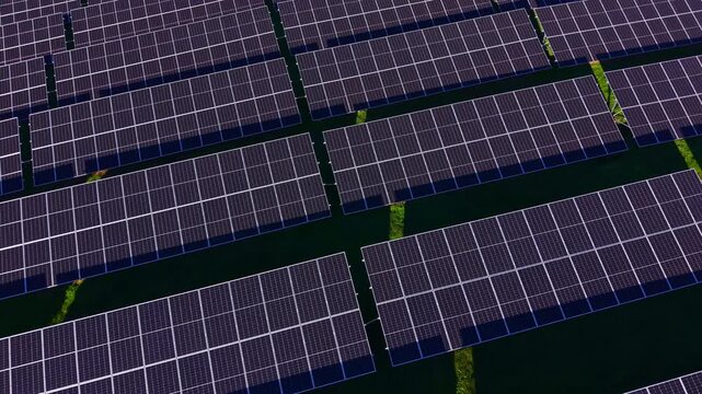 Rows of solar panels stretch across the landscape, capturing sunlight efficiently. The sustainable energy solution highlights innovation while coexisting with nature.