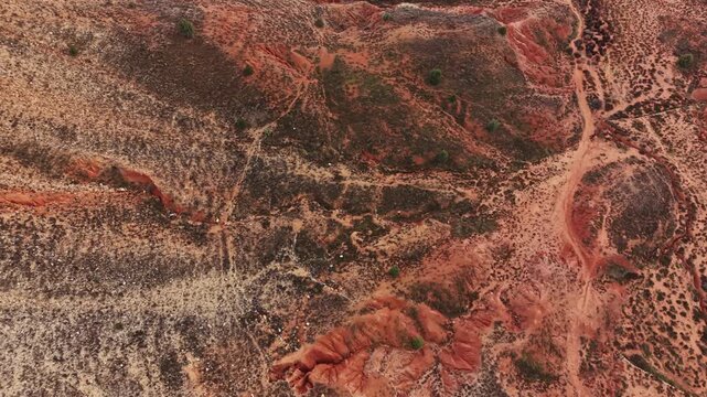 A panoramic view of red rocks and earthy tones shows winding trails and patches of green vegetation under a clear sky during the daytime in a natural location.