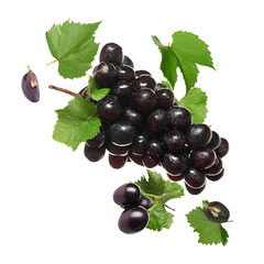 Obraz premium Fresh juicy grapes and green leaves on transparent background