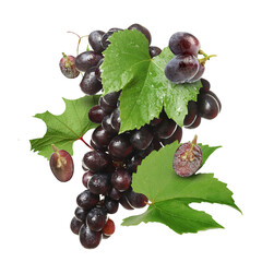 Obraz premium Fresh juicy grapes and green leaves on transparent background
