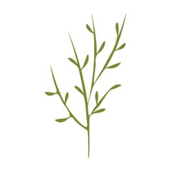Obraz premium A stylized single green plant stem with several small leaves branches upward. It stands alone against a clear white background, presenting a simple botanical element. The design is clean and direct.