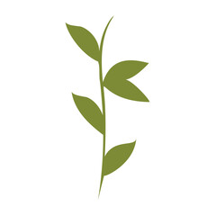 Fototapeta premium A stylized single green plant stem with multiple leaves grows upwards. The botanical element is isolated on a bright white background, showing simple organic form and fresh growth.