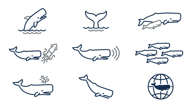 Collection of outline line art sperm whale vector icons showing marine biology behaviors like hunting giant squid, echolocation sonar, pod swimming, and a mother with calf.