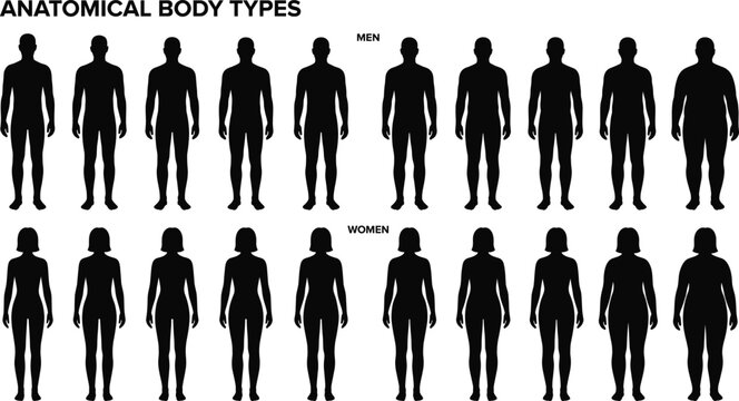 Anatomical body types silhouette set with diverse men and women figures representing various physical shapes weights and human proportions for medical health