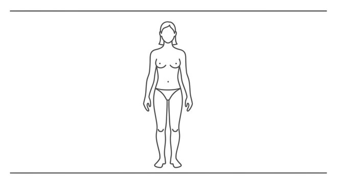 Minimalist female body outline diagram for health and medical study human anatomy representation