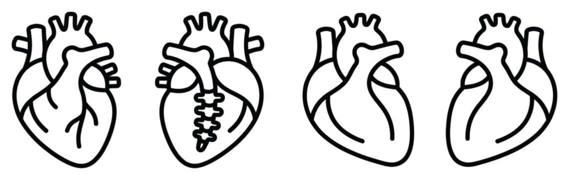 Heart anatomy diagram showing different views of blood flow in a cardiovascular system illustration