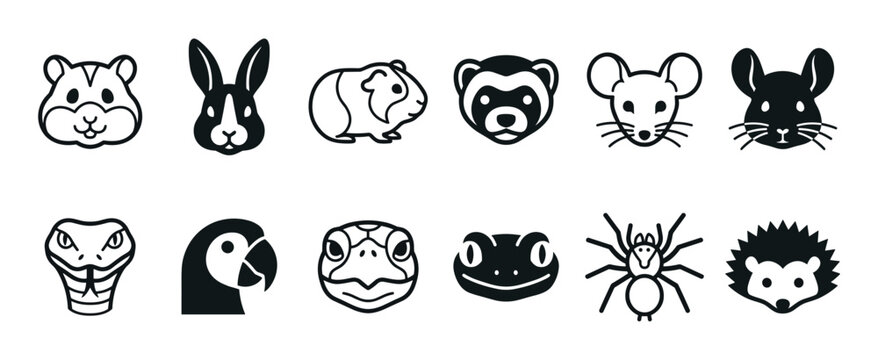 Collection of twelve black pet animal icons including rodents, reptiles, and exotic pets like a ferret, tarantula, and snake in a clean, minimalist line art and silhouette style