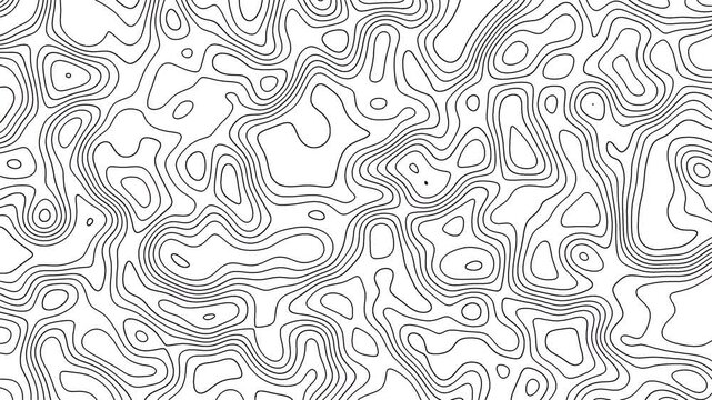 Abstract animated outline topographic map lines on white background. 4k motion graphic