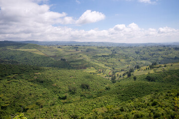 Naklejka premium Mount Elgon forest meets farmland, panoramic view with cloudy blue sky background, Kenya/Uganda.