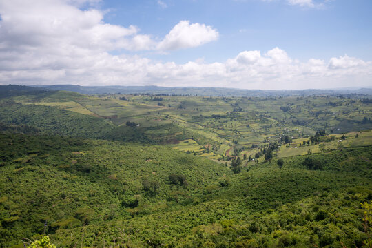 Mount Elgon forest meets farmland, panoramic view with cloudy blue sky background, Kenya/Uganda.