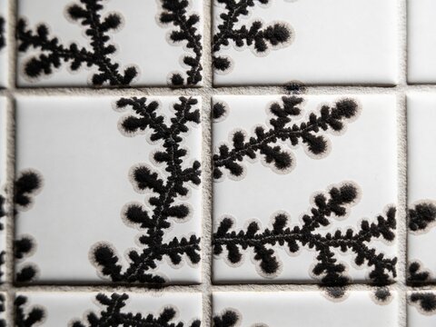 Close-up of white square tiles showing organic, dark branching patterns with light halos, resembling intricate mold growth.