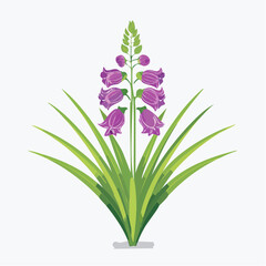 Purple foxglove flower with green leaves © Tahu
