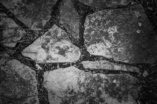 A detailed top-down black and white macro photograph of weathered flagstone pavers set in soil and gravel on a garden path