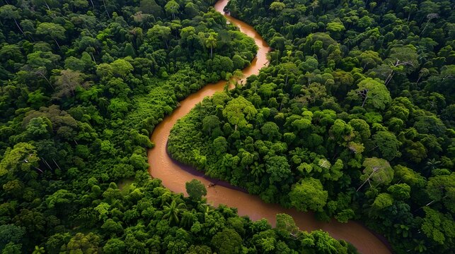アマゾン熱帯雨林を蛇行する大河の空撮パターン