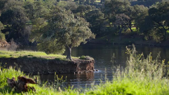 Tranquil lake scene at Cachuma Lake, California, serene and peaceful