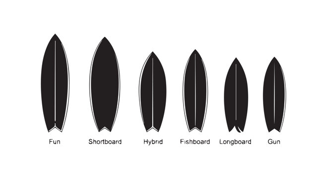 Different types of surfboards are displayed in a horizontal line